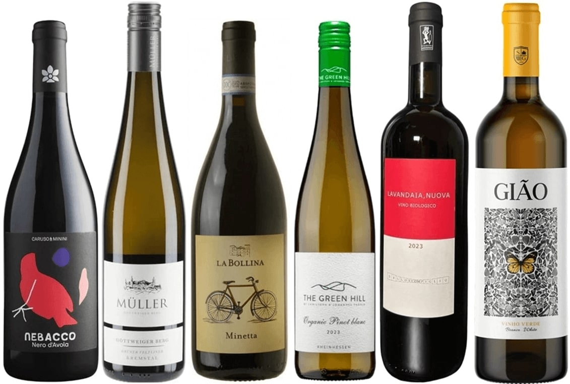 Svatomartinská vína bez Svatomartinského_OceněnáVína_CZ